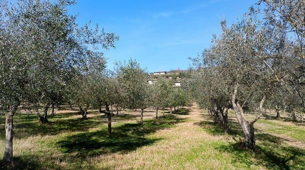Bed and Breakfast Casale San Pietro Ананьи Экстерьер фото